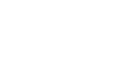 Flowbic Logotype